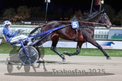 Dateiname=20251026_r09_050_R09_0158.jpg
Dateigröße=283KB
Abmessungen: 1000x667
hinzugefügt am: 29. Oktober 2025 20251026_r09_050_R09_0158.jpg