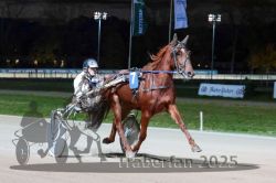 Dateiname=20251026_r09_054_R09_0167.jpg
Dateigröße=257KB
Abmessungen: 1000x667
hinzugefügt am: 29. Oktober 2025 20251026_r09_054_R09_0167.jpg