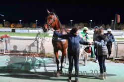 Dateiname=20251026_r09_121_R09_0394.jpg
Dateigröße=324KB
Abmessungen: 1000x667
hinzugefügt am: 29. Oktober 2025 20251026_r09_121_R09_0394.jpg