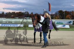 Dateiname=20251026_rf_008_R07_0409.jpg
Dateigröße=283KB
Abmessungen: 1000x667
hinzugefügt am: 27. Oktober 2025 20251026_rf_008_R07_0409.jpg