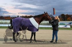 Dateiname=20251026_rf_010_R07_0428.jpg
Dateigröße=259KB
Abmessungen: 1000x667
hinzugefügt am: 27. Oktober 2025 20251026_rf_010_R07_0428.jpg