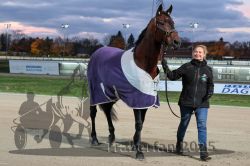 Dateiname=20251026_rf_015_R07_0455.jpg
Dateigröße=265KB
Abmessungen: 1000x667
hinzugefügt am: 27. Oktober 2025 20251026_rf_015_R07_0455.jpg