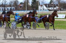 Dateiname=20251120_qu1_026_QU1_0074.jpg
Dateigröße=320KB
Abmessungen: 1000x667
hinzugefügt am: 20. November 2025 20251120_qu1_026_QU1_0074.jpg