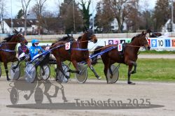 Dateiname=20251120_qu1_028_QU1_0079.jpg
Dateigröße=330KB
Abmessungen: 1000x667
hinzugefügt am: 20. November 2025 20251120_qu1_028_QU1_0079.jpg