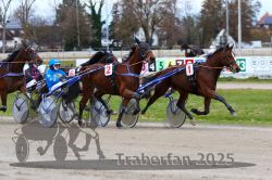 Dateiname=20251120_qu1_029_QU1_0080.jpg
Dateigröße=332KB
Abmessungen: 1000x667
hinzugefügt am: 20. November 2025 20251120_qu1_029_QU1_0080.jpg