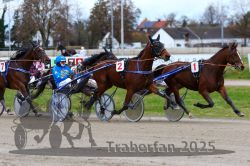 Dateiname=20251120_qu1_030_QU1_0083.jpg
Dateigröße=330KB
Abmessungen: 1000x667
hinzugefügt am: 20. November 2025 20251120_qu1_030_QU1_0083.jpg