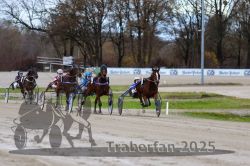 Dateiname=20251120_qu1_038_QU1_0103.jpg
Dateigröße=332KB
Abmessungen: 1000x667
hinzugefügt am: 20. November 2025 20251120_qu1_038_QU1_0103.jpg