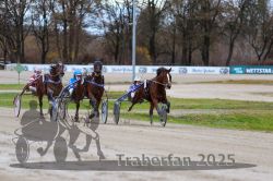 Dateiname=20251120_qu1_040_QU1_0110.jpg
Dateigröße=313KB
Abmessungen: 1000x667
hinzugefügt am: 20. November 2025 20251120_qu1_040_QU1_0110.jpg