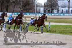 Dateiname=20251120_qu1_042_QU1_0113.jpg
Dateigröße=288KB
Abmessungen: 1000x667
hinzugefügt am: 20. November 2025 20251120_qu1_042_QU1_0113.jpg