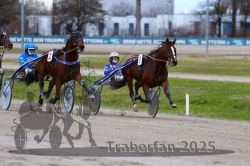 Dateiname=20251120_qu1_044_QU1_0118.jpg
Dateigröße=280KB
Abmessungen: 1000x667
hinzugefügt am: 20. November 2025 20251120_qu1_044_QU1_0118.jpg