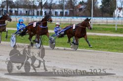 Dateiname=20251120_qu1_045_QU1_0121.jpg
Dateigröße=308KB
Abmessungen: 1000x667
hinzugefügt am: 20. November 2025 20251120_qu1_045_QU1_0121.jpg