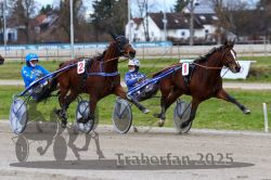 Dateiname=20251120_qu1_047_QU1_0125.jpg
Dateigröße=320KB
Abmessungen: 1000x667
hinzugefügt am: 20. November 2025 20251120_qu1_047_QU1_0125.jpg