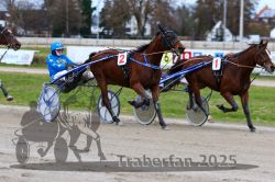 Dateiname=20251120_qu1_049_QU1_0130.jpg
Dateigröße=308KB
Abmessungen: 1000x667
hinzugefügt am: 20. November 2025 20251120_qu1_049_QU1_0130.jpg