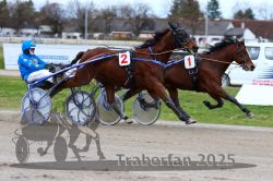 Dateiname=20251120_qu1_051_QU1_0136.jpg
Dateigröße=304KB
Abmessungen: 1000x667
hinzugefügt am: 20. November 2025 20251120_qu1_051_QU1_0136.jpg