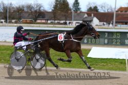 Dateiname=20251120_qu1_056_QU1_0147.jpg
Dateigröße=273KB
Abmessungen: 1000x667
hinzugefügt am: 20. November 2025 20251120_qu1_056_QU1_0147.jpg