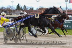 Dateiname=20251120_r01_031_R01_0083.jpg
Dateigröße=297KB
Abmessungen: 1000x667
hinzugefügt am: 20. November 2025 20251120_r01_031_R01_0083.jpg