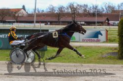 Dateiname=20251120_r01_045_R01_0120.jpg
Dateigröße=300KB
Abmessungen: 1000x667
hinzugefügt am: 20. November 2025 20251120_r01_045_R01_0120.jpg