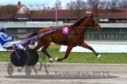 Dateiname=20251120_r02_022_R02_0056.jpg
Dateigröße=293KB
Abmessungen: 1000x667
hinzugefügt am: 20. November 2025 20251120_r02_022_R02_0056.jpg