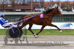 Dateiname=20251120_r02_023_R02_0058.jpg
Dateigröße=314KB
Abmessungen: 1000x667
hinzugefügt am: 20. November 2025 20251120_r02_023_R02_0058.jpg