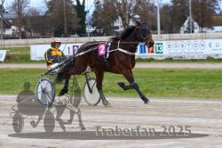 Dateiname=20251120_r02_025_R02_0061.jpg
Dateigröße=305KB
Abmessungen: 1000x667
hinzugefügt am: 20. November 2025 20251120_r02_025_R02_0061.jpg