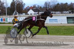 Dateiname=20251120_r02_026_R02_0064.jpg
Dateigröße=302KB
Abmessungen: 1000x667
hinzugefügt am: 20. November 2025 20251120_r02_026_R02_0064.jpg