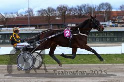 Dateiname=20251120_r02_030_R02_0072.jpg
Dateigröße=286KB
Abmessungen: 1000x667
hinzugefügt am: 20. November 2025 20251120_r02_030_R02_0072.jpg