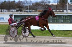 Dateiname=20251120_r02_034_R02_0081.jpg
Dateigröße=294KB
Abmessungen: 1000x667
hinzugefügt am: 20. November 2025 20251120_r02_034_R02_0081.jpg