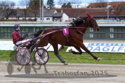 Dateiname=20251120_r02_035_R02_0083.jpg
Dateigröße=308KB
Abmessungen: 1000x667
hinzugefügt am: 20. November 2025 20251120_r02_035_R02_0083.jpg