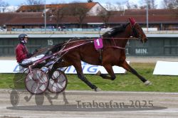 Dateiname=20251120_r02_036_R02_0085.jpg
Dateigröße=292KB
Abmessungen: 1000x667
hinzugefügt am: 20. November 2025 20251120_r02_036_R02_0085.jpg