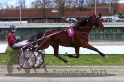 Dateiname=20251120_r02_037_R02_0087.jpg
Dateigröße=295KB
Abmessungen: 1000x667
hinzugefügt am: 20. November 2025 20251120_r02_037_R02_0087.jpg