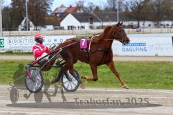 Dateiname=20251120_r02_038_R02_0090.jpg
Dateigröße=306KB
Abmessungen: 1000x667
hinzugefügt am: 20. November 2025 20251120_r02_038_R02_0090.jpg