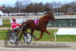 Dateiname=20251120_r02_039_R02_0092.jpg
Dateigröße=299KB
Abmessungen: 1000x667
hinzugefügt am: 20. November 2025 20251120_r02_039_R02_0092.jpg