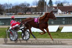 Dateiname=20251120_r02_040_R02_0095.jpg
Dateigröße=293KB
Abmessungen: 1000x667
hinzugefügt am: 20. November 2025 20251120_r02_040_R02_0095.jpg