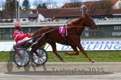 Dateiname=20251120_r02_041_R02_0097.jpg
Dateigröße=310KB
Abmessungen: 1000x667
hinzugefügt am: 20. November 2025 20251120_r02_041_R02_0097.jpg