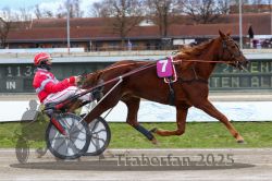 Dateiname=20251120_r02_043_R02_0101.jpg
Dateigröße=314KB
Abmessungen: 1000x667
hinzugefügt am: 20. November 2025 20251120_r02_043_R02_0101.jpg