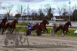 Dateiname=20251120_r02_047_R02_0110.jpg
Dateigröße=342KB
Abmessungen: 1000x667
hinzugefügt am: 20. November 2025 20251120_r02_047_R02_0110.jpg