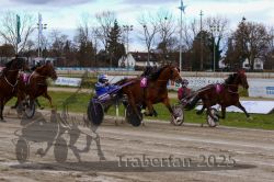 Dateiname=20251120_r02_048_R02_0112.jpg
Dateigröße=347KB
Abmessungen: 1000x667
hinzugefügt am: 20. November 2025 20251120_r02_048_R02_0112.jpg