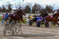 Dateiname=20251120_r02_049_R02_0116.jpg
Dateigröße=364KB
Abmessungen: 1000x667
hinzugefügt am: 20. November 2025 20251120_r02_049_R02_0116.jpg