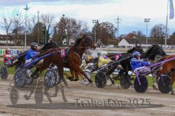 Dateiname=20251120_r02_050_R02_0118.jpg
Dateigröße=335KB
Abmessungen: 1000x667
hinzugefügt am: 20. November 2025 20251120_r02_050_R02_0118.jpg