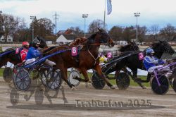 Dateiname=20251120_r02_051_R02_0120.jpg
Dateigröße=304KB
Abmessungen: 1000x667
hinzugefügt am: 20. November 2025 20251120_r02_051_R02_0120.jpg