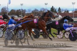 Dateiname=20251120_r02_052_R02_0122.jpg
Dateigröße=297KB
Abmessungen: 1000x667
hinzugefügt am: 20. November 2025 20251120_r02_052_R02_0122.jpg