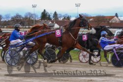 Dateiname=20251120_r02_053_R02_0123.jpg
Dateigröße=292KB
Abmessungen: 1000x667
hinzugefügt am: 20. November 2025 20251120_r02_053_R02_0123.jpg