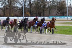 Dateiname=20251120_r02_055_R02_0126.jpg
Dateigröße=323KB
Abmessungen: 1000x667
hinzugefügt am: 20. November 2025 20251120_r02_055_R02_0126.jpg