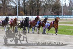 Dateiname=20251120_r02_056_R02_0128.jpg
Dateigröße=324KB
Abmessungen: 1000x667
hinzugefügt am: 20. November 2025 20251120_r02_056_R02_0128.jpg