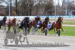 Dateiname=20251120_r02_057_R02_0130.jpg
Dateigröße=333KB
Abmessungen: 1000x667
hinzugefügt am: 20. November 2025 20251120_r02_057_R02_0130.jpg