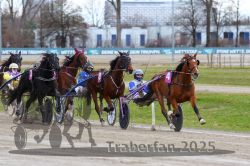 Dateiname=20251120_r02_059_R02_0134.jpg
Dateigröße=316KB
Abmessungen: 1000x667
hinzugefügt am: 20. November 2025 20251120_r02_059_R02_0134.jpg