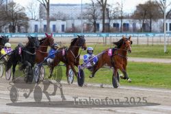 Dateiname=20251120_r02_060_R02_0136.jpg
Dateigröße=323KB
Abmessungen: 1000x667
hinzugefügt am: 20. November 2025 20251120_r02_060_R02_0136.jpg