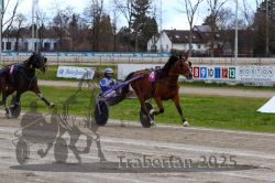 Dateiname=20251120_r02_085_R02_0190.jpg
Dateigröße=333KB
Abmessungen: 1000x667
hinzugefügt am: 20. November 2025 20251120_r02_085_R02_0190.jpg