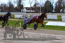 Dateiname=20251120_r02_086_R02_0192.jpg
Dateigröße=343KB
Abmessungen: 1000x667
hinzugefügt am: 20. November 2025 20251120_r02_086_R02_0192.jpg