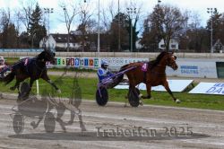 Dateiname=20251120_r02_087_R02_0194.jpg
Dateigröße=333KB
Abmessungen: 1000x667
hinzugefügt am: 20. November 2025 20251120_r02_087_R02_0194.jpg